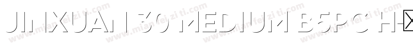 jinxuan 30 Medium B5pc H字体转换